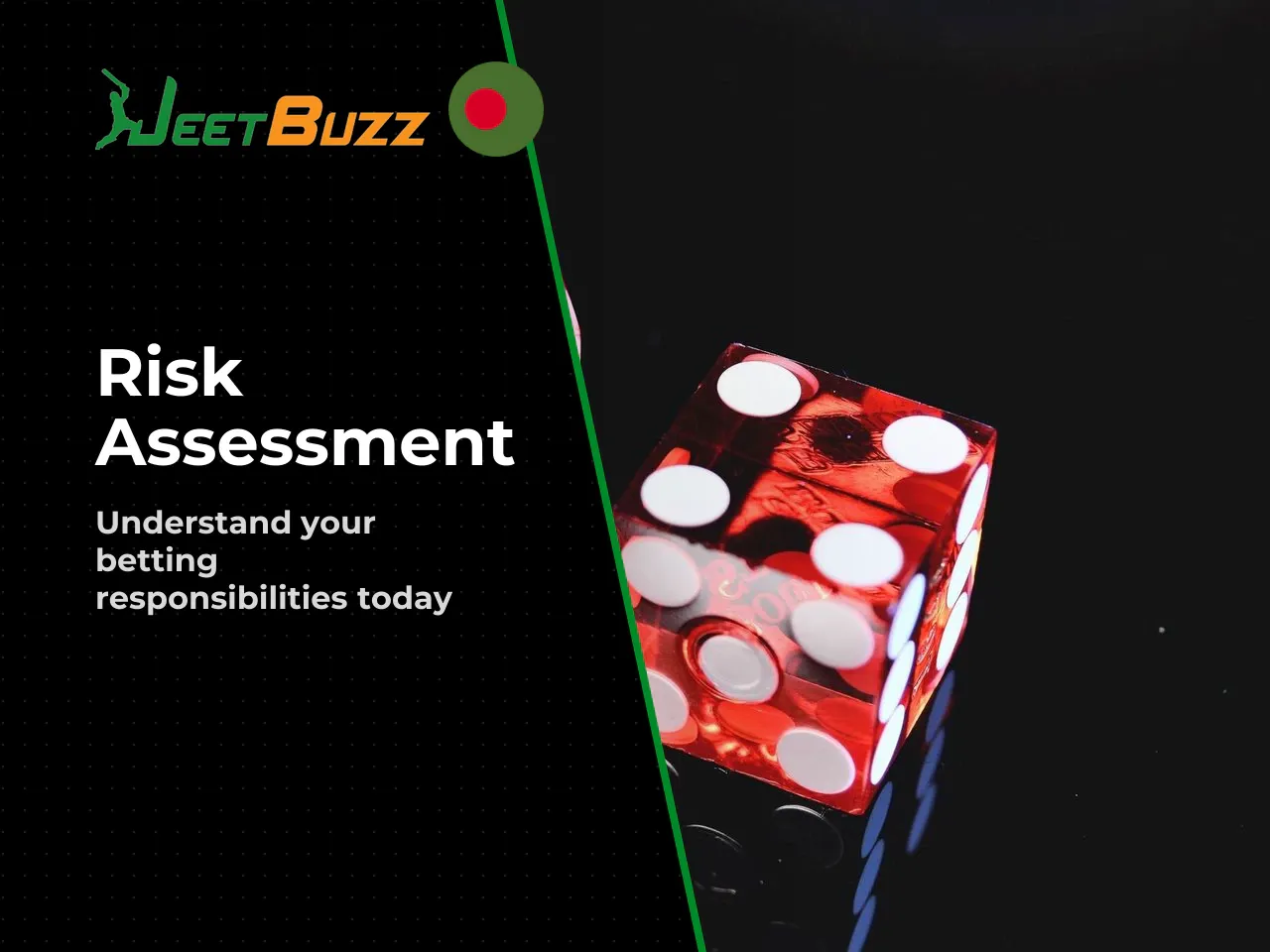 Users must independently assess the risks